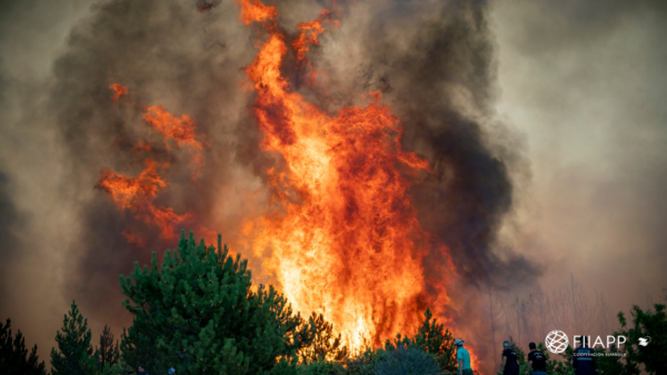 El programa Amazonía+ coopera en la lucha contra la deforestación, degradación e incendios forestales en la cuenca amazónica.